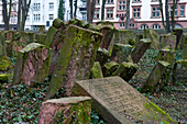 Jüdischer Friedhof Battonnstraße, Ältester jüdischer Friedhof in Frankfurt und zweitältester jüdischer Friedhof in Deutschland, Frankfurt am Main, Hessen, Deutschland, Europa