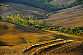 View of hilly landscape of the Crete, Tuscany, Italy, Europe