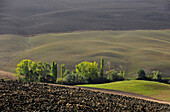 View of hilly landscape of the Crete, Tuscany, Italy, Europe