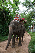 Touristen reiten auf Elefanten im Sai Yok Elephant Village, nahe Kanchanaburi, Thailand, Asien [MR]