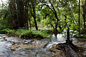 Bachlauf im Sai Yok Nationalpark, unweit vom River Kwai Noi, nahe Kanchanaburi, Thailand, Asien