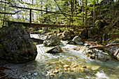 Holzbrücke über dem Straneggbach, Almtal, Oberösterreich, Österreich, Europa