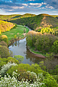 Blick auf den Fluss Thaya im Thayatal im Frühling, Niederösterreich, Österreich, Europa