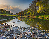 Old river arm of the Danube-Auen, Danube-Auen National Park, Lower Austria, Austria