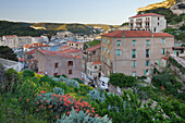 Häuser am Hafen von Bonifacio, Korsika, Frankreich