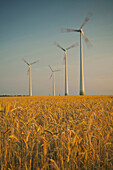 Windräder in einem Getreidefeld, Windkraftwerk, Windenergie, Deutschland