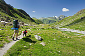 Hiker walking in the mountains with his dog, Bielerspitze mountain, Bielerhohe, Bieltal, Tyrol, Austria