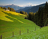 View across an alpine meadow with view towards the Zillertaler Alps, Hohenstrasse, Tyrol, Austria