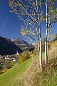 Baum und Bergdorf im Sonnenlicht, Pimig, Lechtal, Holzgau, Tirol, Österreich, Europa
