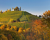 Weinfelder mit Haus im Sonnenlicht, Südsteirische Weinstrasse, Steiermark, Österreich, Europa