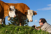 Photographer taking pictures of cows, Upper Bavaria, Germany, Europe