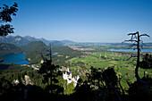 Blick auf Schloss Neuschwanstein und Schloss Hohenschwangau, Schwangau bei Füssen, Allgäu, Bayern, Deutschland