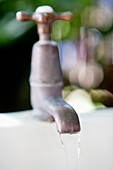 Close-up of running water from a brass faucet