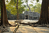 Trees in front of entrance pavillon at Ta Prohm, Angkor, Cambodia, Asia