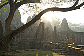 tree in morning light at the at Bayon temple, Angkor Thom, Angkor, Cambodia, Asia