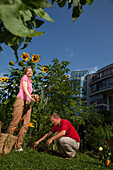 Man and woman harvesting carrots, Urban Gardening, Urban Farming, Stuttgart, Baden Wurttemberg, Germany