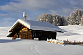 Snow covered alpine hut, Alpe di Siusi, Schlern, South Tyrol, Italy, Europe