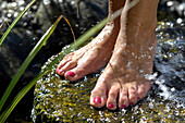 Feet of a woman standing in stream, Kneipp pool, South Tyrol, Trentino-Alto Adige, Italy