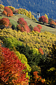 Autumn in the mountains, Lajen, Sellastock massif, Dolomites, South Tyrol, Trentino-Alto Adige, Italy