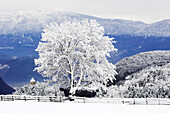 Verschneite Landschaft, Oberbozen, Ritten, Alto Adige, Südtirol, Italien