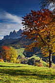 Blick auf St. Magdalena im Villnösstal im Herbst, Dolomiten, Südtirol, Alto Adige, Italien, Europa