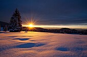 Winter scenery at sunset, Nature park Schlern, South Tyrol, Alto Adige, Italy, Europe