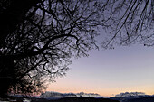 Bäume und Gebirge in der Abenddämmerung, Schlern, Dolomiten, Südtirol, Alto Adige, Italien, Europa