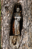 Figur des heiligen Christophorus in einem Baumstamm, Gadertal, Südtirol, Alto Adige, Italien, Europa