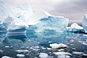 Iceberg floating in the sea, Paradise Harbor, Antarctic Peninsula, Antarctica