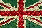 Broccoli, cauliflowers & tomatoes laid out in shape of Union Jack flag at village fete, England
