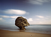 Strange shaped rock at dawn off the beach of Bathsheba, Barbados, Barbados
