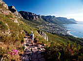Walker going down path from the Lions head looking down the coast to Camps Bay and the 12 Apostles, Cape Town, South Africa