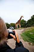 Kariega Game Reserve, South Africa