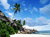 Tropical white sand beach, Grand Anse, La Digue, Seychelles