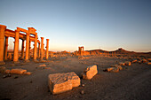 Palmyra Ruins, Syria