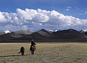 Nomad with horses walking across grasslands beside Namtso Lake, Tibet.