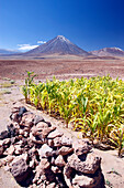 Chile, Atacama, Licancabur volcano