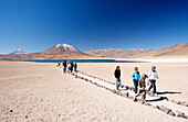 Chile, Atacama, altiplano, Laguna Miscanti, Miscanti volcano