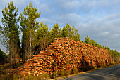 France, heap of wood on edge of a road