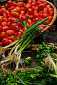 Haiti, Port au Prince, market