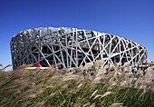 China, Beijing, National Stadium, Olympic Games