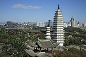 China, Beijing, Ethnic Culture Park, Yunnan pagodas, National Stadium