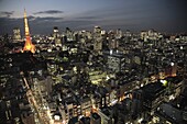 Japan, Tokyo, skyline at night, general aerial view, Tokyo Tower