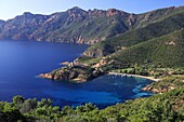 France, Corse, Girolata,general view