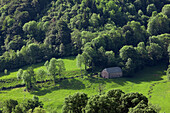 France, Auvergne, Cantal, region of Tournemire, farm