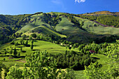 France, Auvergne, Cantal, Mandailles valley
