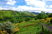 France, Auvergne, Cantal, St Projet valley