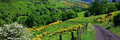 France, Auvergne, Cantal, St Projet valley
