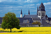 France, Pays de la Loire, Maine et Loire, Fontevraud abbey