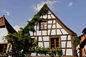 TRADITIONAL HOUSES IN KAYSERSBERG VILLAGE, HAUT RHIN, ALSACE, FRANCE